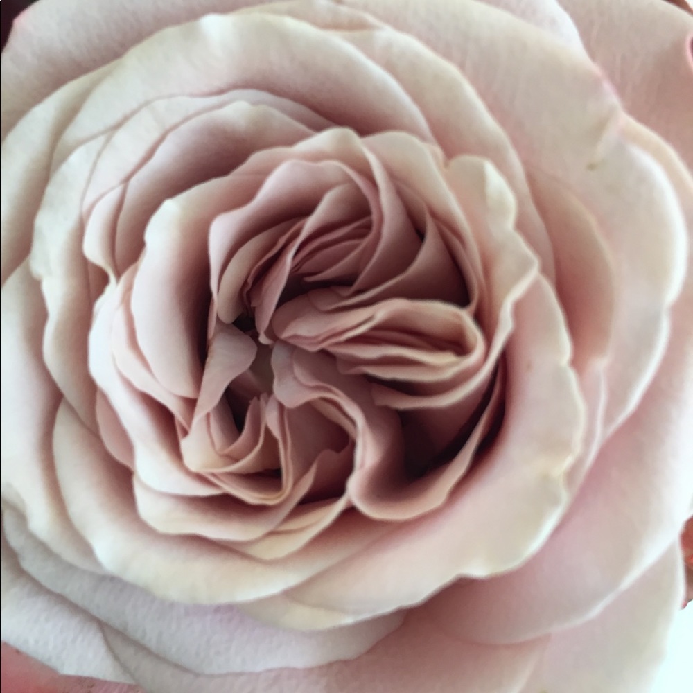 Meet your Posher, Kristina